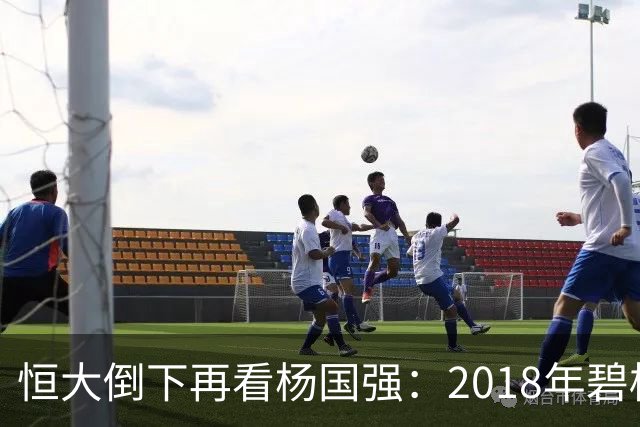 恒大倒下再看杨国强：2018年碧桂园踩下刹车，躲过债务危机了嘛？